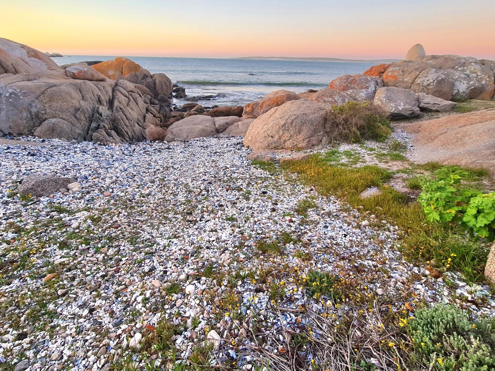 Flamink Beach View Cottage In Paternoster Dış mekan fotoğraf